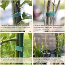 Reusable Climbing Plant Tape 12mm X 5m, Flat Tape, Nylon Planting Tape, Garden Tips, Tomato Plant Support, Garden Cable Ties. Reusable Climbing Plant Tape 12mm X 5m, Flat Tape, Nylon Planting Tape, Garden Tips, Tomato Plant Support, Garden Cable Ties. - 綠色 - 查看 4