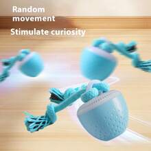USB 自动滚球狗猫玩具，耐用的狗咬球玩具，狗弹力球玩具，无尽的乐趣和锻炼，适合中小型宠物 - 彩色 - 查看 5