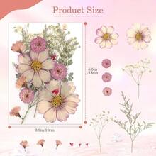 Flores Prensadas Secas para Resina, 5 Bolsas de Piezas de Flores Prensadas, 5 Temas de Colores, Flores Secas para Arte de Uas, Resina, Diseo de Joyera de Tipo 2 - Tipo 4 - Ver 4