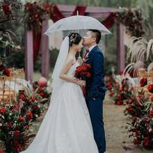 2pcs Boxed Long Handle 8‑Bone Double Thick PVC Transparent Umbrella Straight Pole, Last‑Minute Wedding Supplies, Suitable For Outdoor Events And Daily Rain, Great For Rainy Weddings And Photo Props - Multicolor - View 3