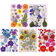 Flores Prensadas Secas para Resina, 5 Bolsas de Piezas de Flores Prensadas, 5 Temas de Colores, Flores Secas para Arte de Uas, Resina, Diseo de Joyera de Tipo 2 - Tipo 1 - Ver 2