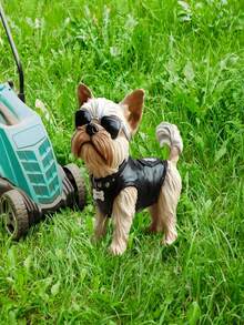 1 Peça Cartão Criativo de Inserção de Jardim, Cartão de Inserção Decorativa de Chão com Cachorro, Prop Decorativo, Cartão de Inserção de Jardim, Cartão de Chão Decorativo Adequado para Decoração de Jardim Externo, Melhora os Suprimentos Decorativos Estéticos