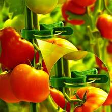 2025 New Plant Clips Climbing Plants Grape And Tomato Vine, Vegetables Plants, Garden Clips To Grow Upright Makes Plants Healthier Vine Clips Supporting Stems Of Flower(5Large +5 Small) - 1 - 查看 4