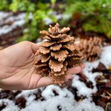 1000/2000/5000pcs 2.6mm Mini Fuse Beads Pixel Puzzle Iron Beads Melt Beads DIY High Quality Handmade Crafts - Beans - View 8