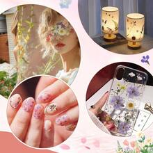 Flores Prensadas Secas para Resina, 5 Bolsas de Piezas de Flores Prensadas, 5 Temas de Colores, Flores Secas para Arte de Uas, Resina, Diseo de Joyera de Tipo 2 - Tipo 3 - Ver 8
