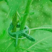 2025 New Plant Clips Climbing Plants Grape And Tomato Vine, Vegetables Plants, Garden Clips To Grow Upright Makes Plants Healthier Vine Clips Supporting Stems Of Flower(5Large +5 Small) - 1 - 查看 3