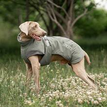 大型犬风衣背心，秋冬季保暖防风狗狗衣服，可调节尺寸，防水，易于穿着