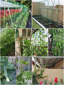 1 Pack Horticultural Plant Climbing Supports, Climbing Nets, Plant Climbing Pergolas, Climbing Ivy, Morning Glory, Rose Pergolas, Cucumber, Loofah And Other Crop Climbing Nets - Green - View 4