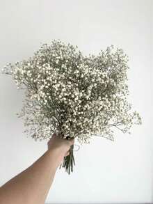 2000+枝天然干满天星花束 - 16英寸象牙白色永生花，花瓶填充枝，用于婚礼装饰、桌面中心装饰、家居装饰、DIY花卉工艺品 - 白綠色 - 查看 4
