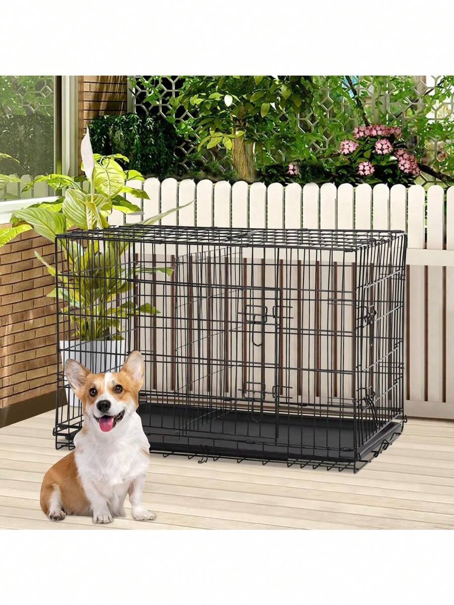 Picture of 24 Inch Folding Metal Dog Crate For Small Dogs - Double Door, Indoor ...