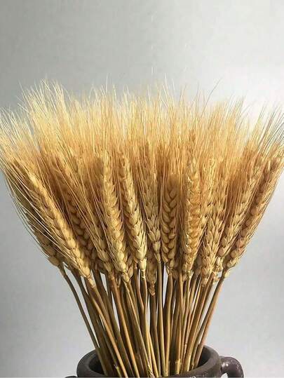 Dried Wheat Bouquet, Dried Wheat Stalks, Natural Dried Wheat Stem Bouquet, Artificial Dried Wheat Stalks Decor, Farmhouse Decor, Boho Farmhouse DIY Harvest Wreath, 100% Natural Wheat, Coffee Table Decor, Suitable For Weddings, Home, Dining Table, Dates, Country Parties, Autumn Decor