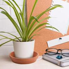 24/12/6/3 Pcs Small TerraCotta Saucer Terracotta Pot Plant Saucer Perfect Tiny Clay Plant Trays Mini Round Plant Pot Saucers, For 3/4/4.5incn Succulents Nursery Pots, Size 3.5inch