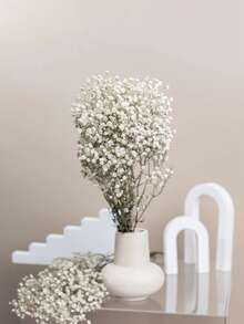 2000+枝天然干满天星花束 - 16英寸象牙白色永生花，花瓶填充枝，用于婚礼装饰、桌面中心装饰、家居装饰、DIY花卉工艺品 - 白綠色 - 查看 6