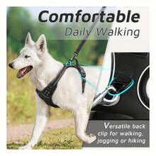 2pcs Reflective Dog Harness And 1.5 Meter Leash Breathable Pet Harness For Large And Small Medium Dogs And Cats Puppy Chest Vest Dog Walking Leash And Harness Set Accessories