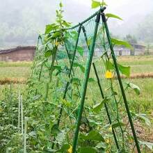 21pcs Garden Support Stake Set, Coated Metal Core, Includes 8 Support Rods, 4 A-Shape Clips, 5 Connectors, 4 Universal Clips, Anti-Corrosive, Easy To Insert, Suitable For Various Plants, Fruits, Vegetables, Essential Garden Climbing Trellis - Army Green - View 5