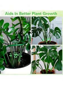 4pcs/Pack (4 Different Sizes Included) Plant Support Clips, Sturdy Stem Clips, Suitable For Climbing Plants - Plastic Material, For Indoor Climbing Plants, Plant Support - Multicolor - View 7