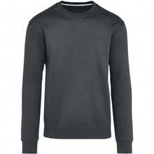 SG Unisex Adult Ringspun Cotton Tagless Sweatshirt (Charcoal) - 咖啡棕 - 查看 1
