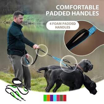 Guinzaglio multifunzione per animali domestici, nuovo guinzaglio retrattile a doppia testa, adatto per fitness, sport, corsa, con manici in spugna anti-collisione, guinzaglio per animali domestici per attività all'aperto, disponibile in vari colori