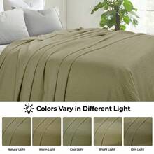 Jena Cotton Textured  Woven Blanket, Throw, Sage