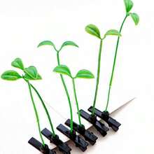 5pcs Cute Mini Plant Shaped Hair Clips, Green Hairpins Unisex Hair Accessories, Hair Slide, Hair Barrettes, Christmas Outfit For Women