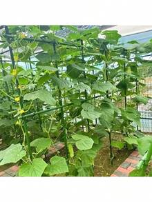 21pcs Garden Support Stake Set, Coated Metal Core, Includes 8 Support Rods, 4 A-Shape Clips, 5 Connectors, 4 Universal Clips, Anti-Corrosive, Easy To Insert, Suitable For Various Plants, Fruits, Vegetables, Essential Garden Climbing Trellis - Army Green - View 6