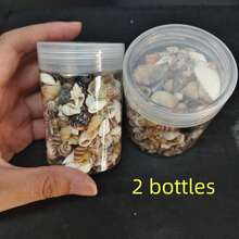 [740/1000 Piezas] Juego de artesanía de mini conchas y estrellas de mar - [Consulte las imágenes del SKU para confirmar el producto que compra] Adecuado para manualidades, joyería DIY, figuras de animales, marcos, decoración del hogar, fiesta con tema de playa, decoración de bodas, relleno de acuarios y jarrones, etc. - Multicolor - Ver 12