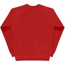 SG Mens Raglan Sleeve Crew Neck Sweatshirt (Red) - Red - View 2