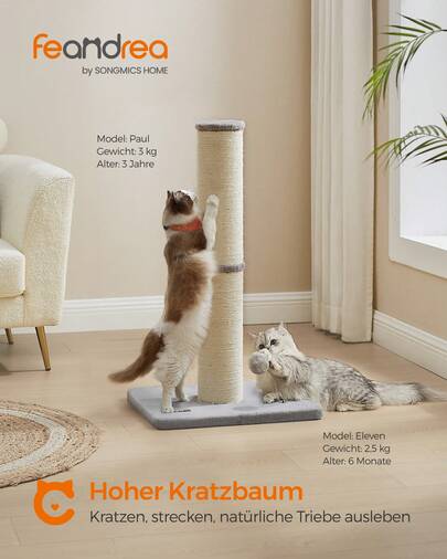 Kratzbaum, 85 cm hoch, Kratzsäule XL, 13 cm Dicker , Katzenbaum, Kratzstamm für mittelgroße und große Katzen, Sisalstamm, mit Plüschball und Glocke
