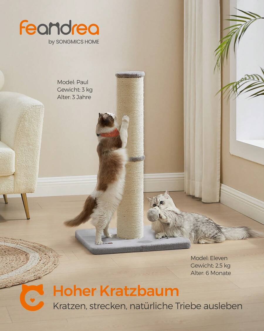Kratzbaum, 85 cm hoch, Kratzsäule XL, 13 cm Dicker , Katzenbaum, Kratzstamm für mittelgroße und große Katzen, Sisalstamm, mit Plüschball und Glocke - Taubengrau - Übersicht 1