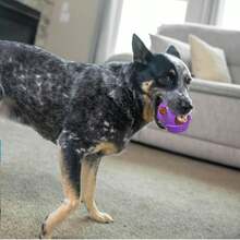 Outward Hound Helmet Headz Monkey Dog Toy, Plush Squeaky Fetch Ball, Durable Dog Toy For Active Play, Multicolored, Small - 1 - Xem 5