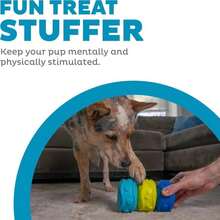 Outward Hound Puzzle Cube Interactive Squeaky Dog Toy - ColorB - 查看 2