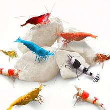 钙镁石，适用于虾、蟹、小龙虾和蜗牛 - 天然石装饰，适用于水晶红虾、阿玛诺虾和鬼虾 - 纳米水族箱配件、鱼缸用品、水族箱装饰、虾栖息地、鲜艳的色彩、耐用的水生装饰 - 彩色 - 查看 2