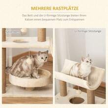 Cat Trees & Condos - Default - View 6