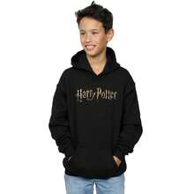 Harry Potter Boys Full Colour Logo Hoodie (Black) - Coffee Brown - View 3