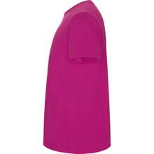 Roly Mens Stafford TShirt Activewear (Rossette) - Dusty Pink - View 3
