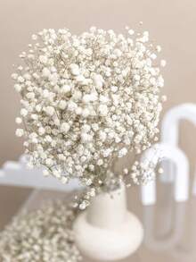 2000+枝天然干满天星花束 - 16英寸象牙白色永生花，花瓶填充枝，用于婚礼装饰、桌面中心装饰、家居装饰、DIY花卉工艺品 - 白綠色 - 查看 7