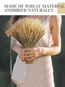 干麦花束、干麦秆、天然干麦秆花束、人造干麦秆装饰、农舍装饰、波西米亚风农舍DIY丰收花环、100%天然小麦、咖啡桌装饰,适用于婚礼、家居、餐桌、约会、乡村派对、秋季装饰 - 黃色 - 查看 4