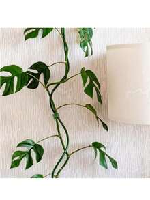 2个植物攀爬墙夹 - 柔性植物支撑支架，自粘式隐形花园棚架，适用于室内/室外植物 - 不对称塑料结构（颜色随机） - 綠色 - 查看 3