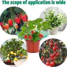 10pcs Strawberry Planting Support Rack With 4 Sturdy Columns, Strawberry Cultivation Structure Ensures Fruit Stays Clean, Suitable For Indoor Or Outdoor Garden Strawberry & Vegetable Planting, Planting Assist Tool, Applicable For Halloween, Christmas, Valentine's Day