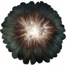 FeelfunFeather 120pcs Navy Blue Goose Feathers 6-8 Inch 15-20cm Decorative Natural Goose Nagoire Bulk Crafts Cosplay Wedding Party Halloween Home Decoration - TỰ NHIÊN - Xem 13