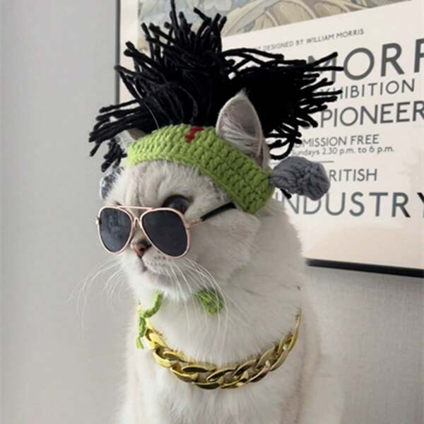 1 Acessório de Cabelo Engraçado para Animais de Estimação (Cor Aleatória), Estilo Rock Punk, Chapéu de Gato e Cachorro para Outono e Inverno, Adequado para Gatos e Cachorros Pequenos e Médios Usarem, P Adequado para Até 2,5 Quilogramas, M Adequado para 2,5-7 Quilogramas