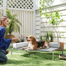 Pet Hammock/Window Perches - Default - View 3