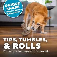 Outward Hound Dogwood Durable Dog Chew Toys, Real Wood &Amp; Mesquite, 2-Pack, Medium - ColorF - 查看 5