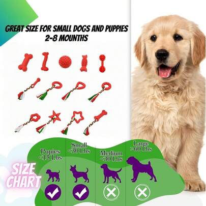 6件套圣诞节软橡胶/TPR咀嚼玩具+绳结布，适合小型犬，清洁牙齿，缓解无聊互动玩具
