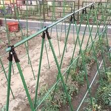 21pcs Garden Support Stake Set, Coated Metal Core, Includes 8 Support Rods, 4 A-Shape Clips, 5 Connectors, 4 Universal Clips, Anti-Corrosive, Easy To Insert, Suitable For Various Plants, Fruits, Vegetables, Essential Garden Climbing Trellis - Army Green - View 12