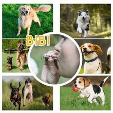 Silent Dog Whistle To Stop Barking - Ultrasonic Adjustable Pitch Pet Training Tool With Keychain, No Battery Needed (Silver)