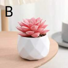 Plantas em Vaso Suculentas Miniatura Simuladas Fofas, Suculentas em Vaso, Árvores Bonsai de Suculentas Artificiais Realistas, Miniaturas de Suculentas Artificiais Decorações de Plantas Verdes de Mesa - Plantas Artificiais Duráveis e Sem Manutenção, Lindas e Realistas