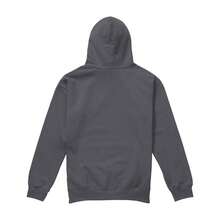Star Trek Mens Discovery Crest Hoodie (Charcoal) - Coffee Brown - View 3