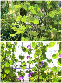 1 Pack Horticultural Plant Climbing Supports, Climbing Nets, Plant Climbing Pergolas, Climbing Ivy, Morning Glory, Rose Pergolas, Cucumber, Loofah And Other Crop Climbing Nets - Green - View 3