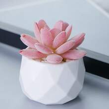 Plantas em Vaso Suculentas Miniatura Simuladas Fofas, Suculentas em Vaso, Árvores Bonsai de Suculentas Artificiais Realistas, Miniaturas de Suculentas Artificiais Decorações de Plantas Verdes de Mesa - Plantas Artificiais Duráveis e Sem Manutenção, Lindas e Realistas